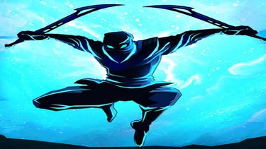 Shadow Ninja Revenge